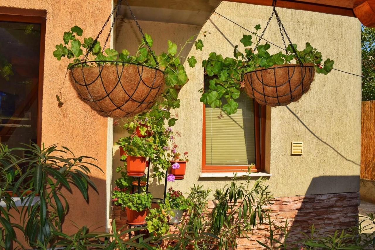 Tatyana Guest House Byala (Varna) Exterior foto